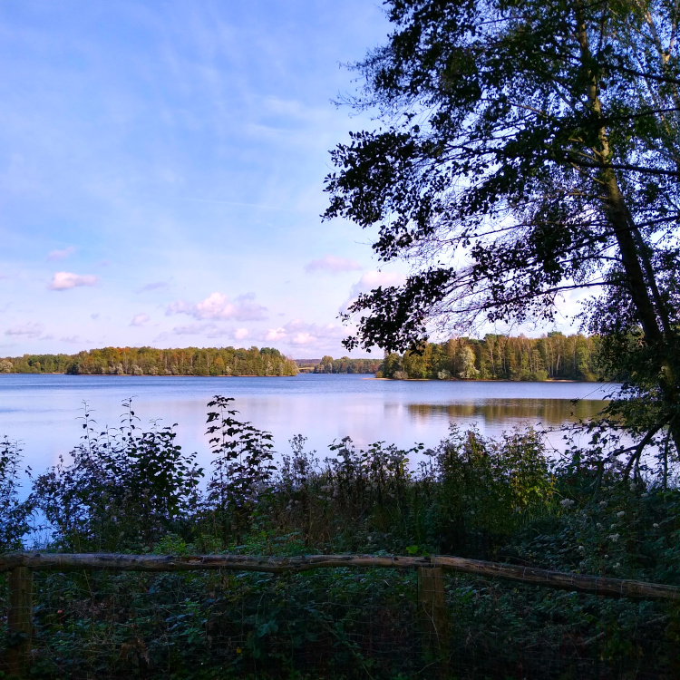 Ausblick auf den Wildförstersee an der Sechs-Seen-Platte in Duisburg-Wedau